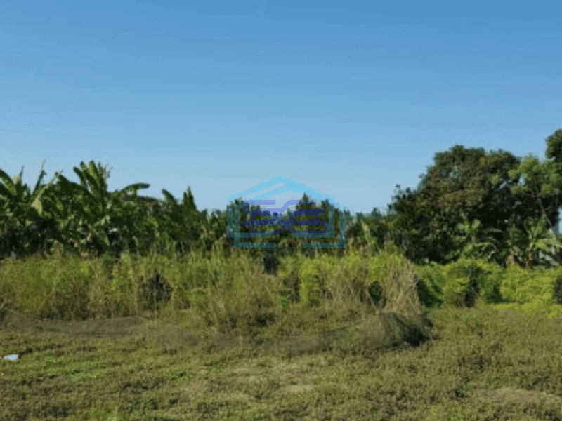 Dijual Tanah di Jabon Sidoarjo SHM Luas Tanah 3600 m²