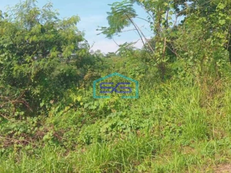 Dijual Tanah Kosong Cocok Untuk Investasi Di Cikande Luas Tanah  100000 m²