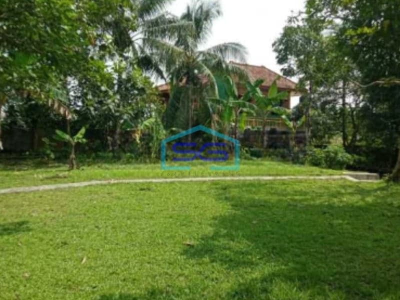 Dijual Tanah Di Ciampea Udik Bogor Dengan Luas 50000m2