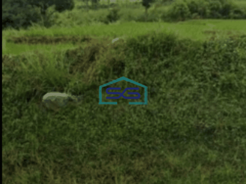 Disewakan Tanah Bagus Di Daerah Kuliner Gronggong Ciperna Cirebon