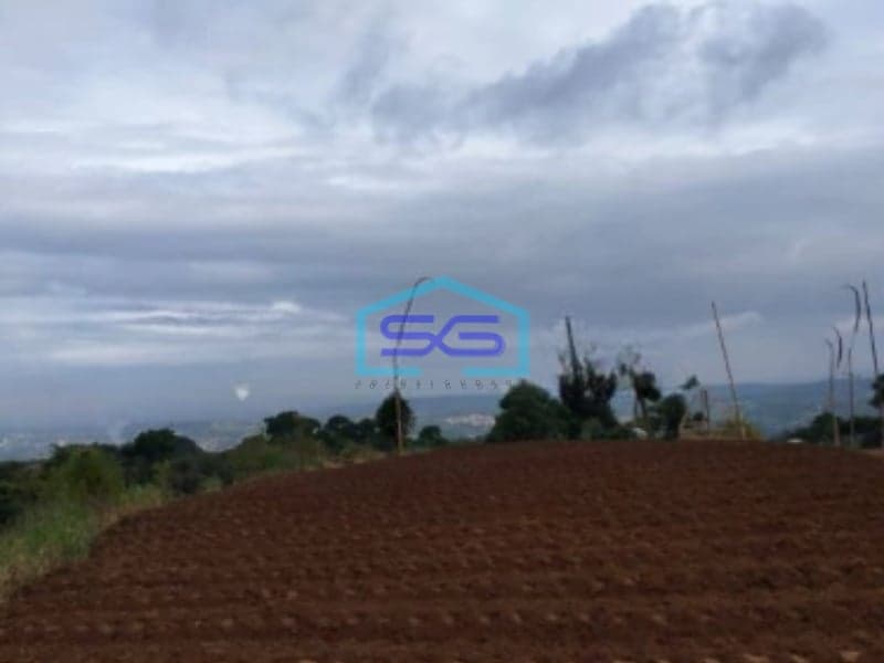 Dijual Tanah di Desa Bojongmurni Ciawi Bogor Luas 50000m2