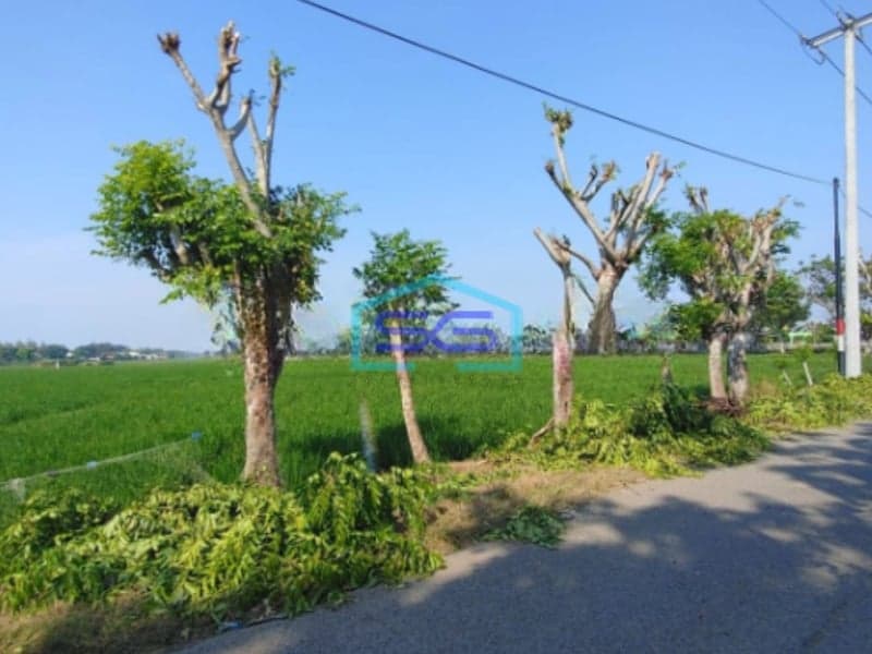 Dijual Tanah Lokasi Strategis di Tirtajaya karawang Luas 5 Ha