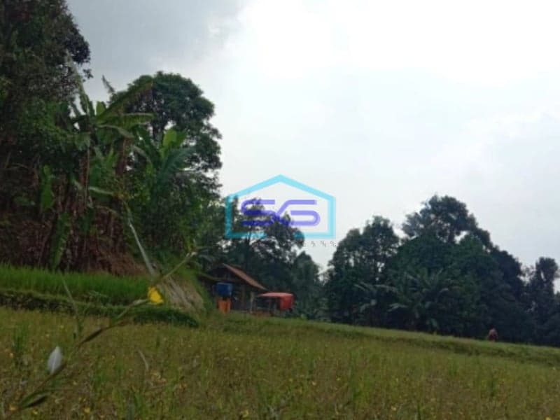 Dijual Tanah di Desa Cibeber Leuwiliang Bogor Luas Tanah 30000m2