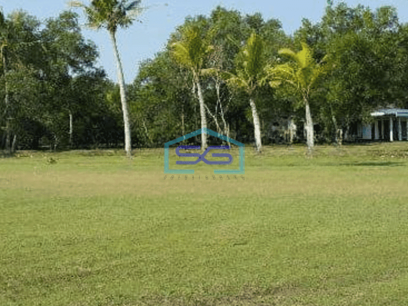 Dijual Tanah Luas 41666 m² di Pagelaran Pandeglang Banten