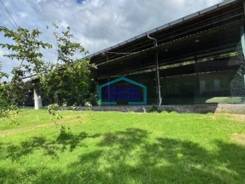 Dijual Tanah Luas 2000 m² Lokasi Buleleng Bali