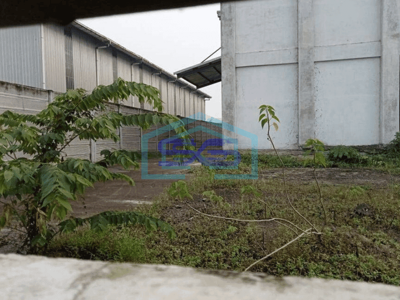 Disewakan Gudang 5000 m² di Kawasan Modern Cikande