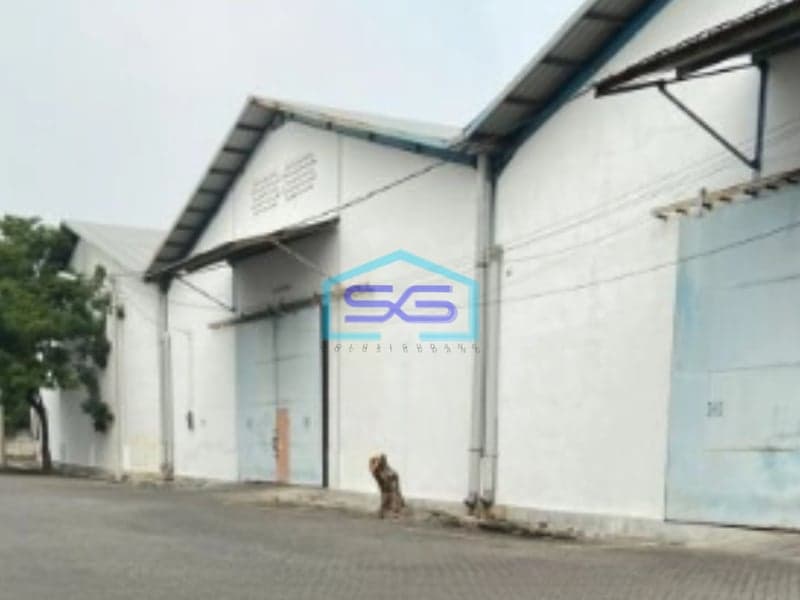 Disewakan Gudang Luas Tanah 30000 m² Lokasi Gresik Kota