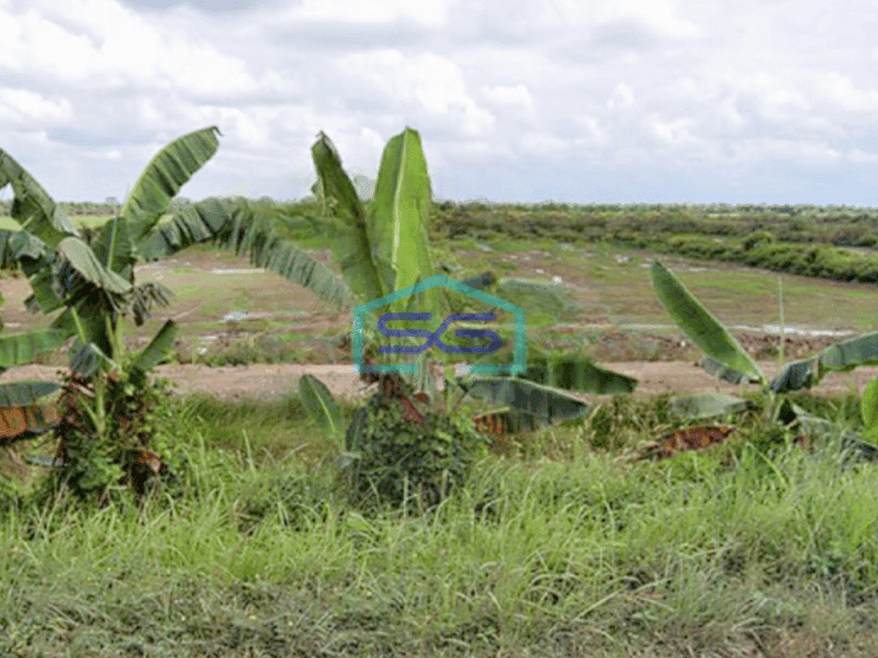 Dijual Kavling Tanah Industri Luas Tanah 20 Ha Sumatera Selatan