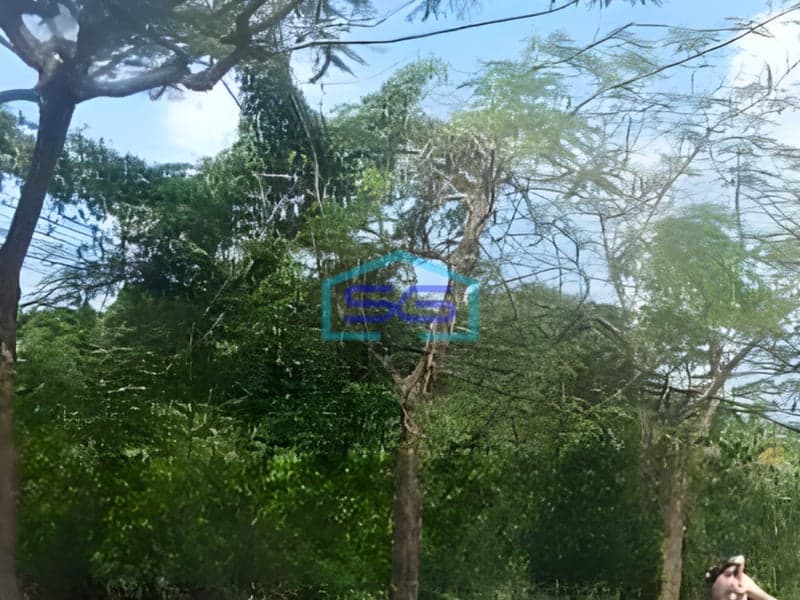 Dijual Tanah Lokasi Bebas Banjir di Bogor Luas  6000 m²