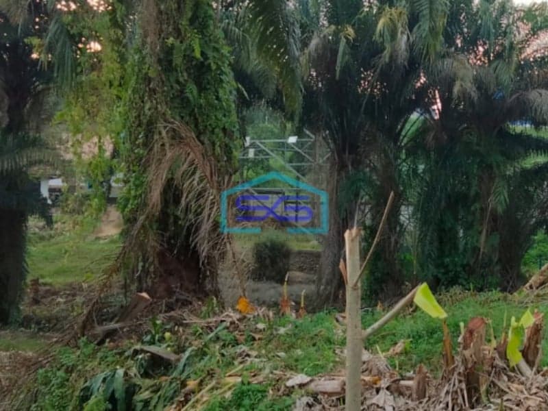 Dijual Tanah siap Bangun di Jalan Kantor Lurah Sukomoro Talang Kelapa Banyuasin Sumatera Selatan LT 2000m2