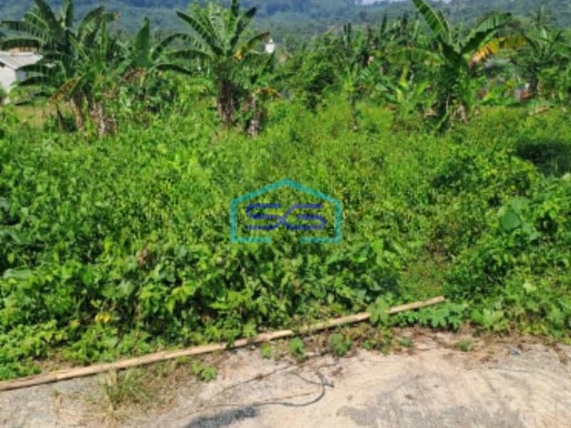 Dijual Tanah Rumpin Kabupaten Bogor Luas Tanah 12000m2