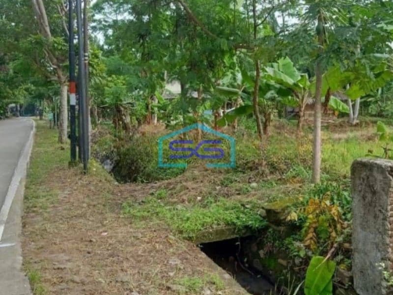 Dijual Tanah di Pandeglang Banten Luas Tanah 43800m2