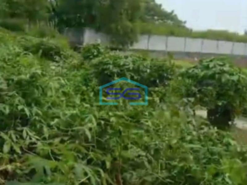 Dijual Tanah Kavling Luas 10000m2 Di Teluk Naga Tangerang Banten