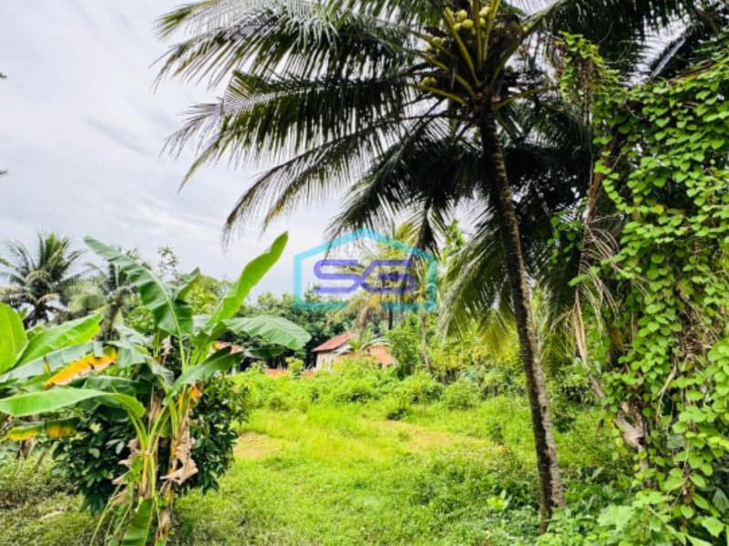 Dijual Cepat Tanah Murah Jalan Lebong Permai Alang Alang Lebar Palembang LT 1173m2