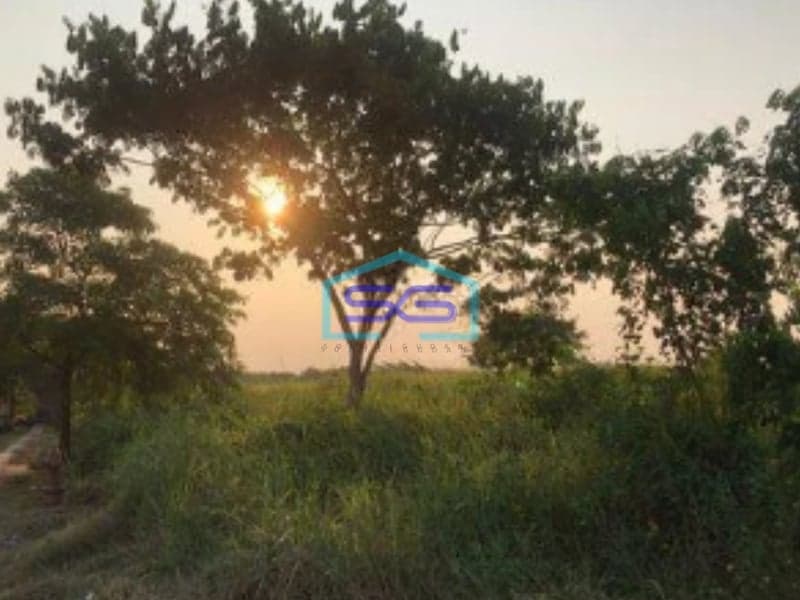 Dijual Tanah Cikarang Bekasi Kavling Siap Bangun Zona Industri Pergudangan LT 11118m2