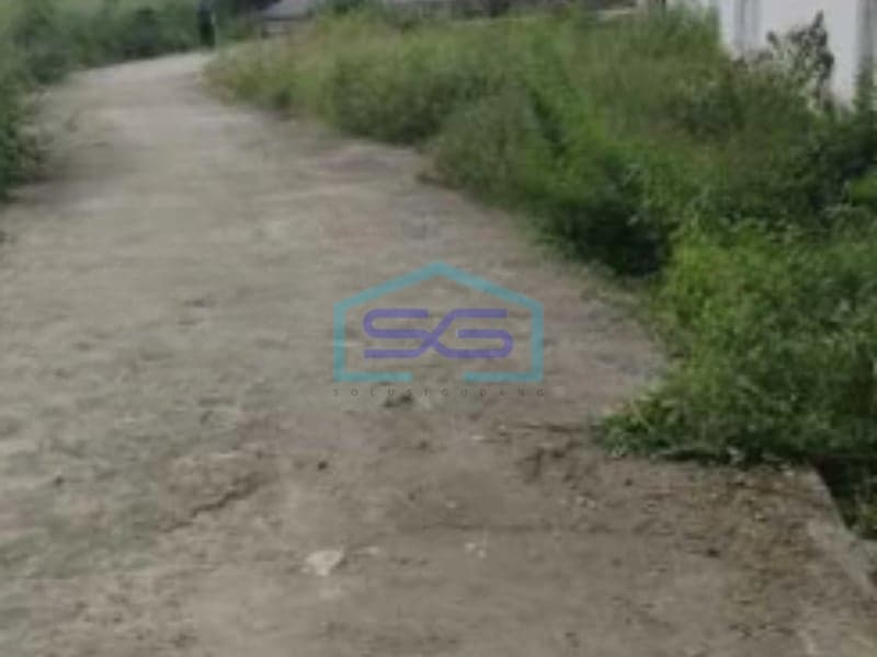 坦格朗塞帕坦出租仓库，即时可用，适合商业用途，状况良好