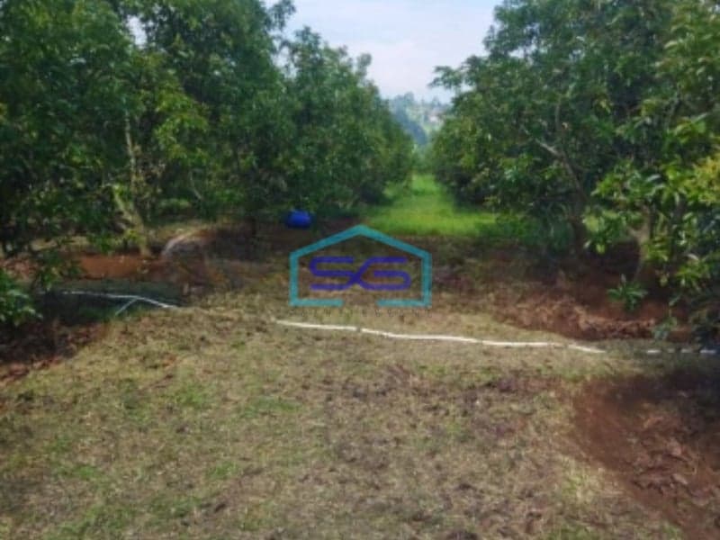 Dijual Tanah Strategis di Daerah Klapanunggal Bogor Luas Tanah 120000m2