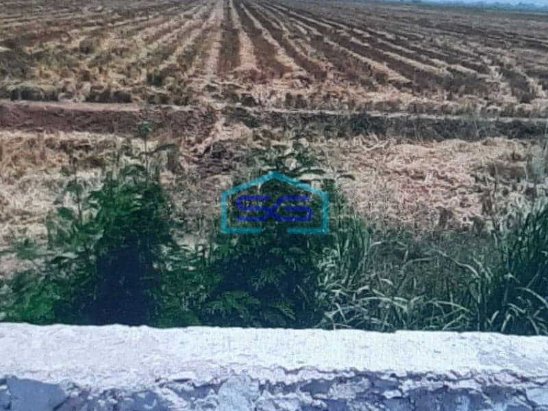 Dijual Tanah Di Pinggir Jalan Pantura Subang LT 14060m2