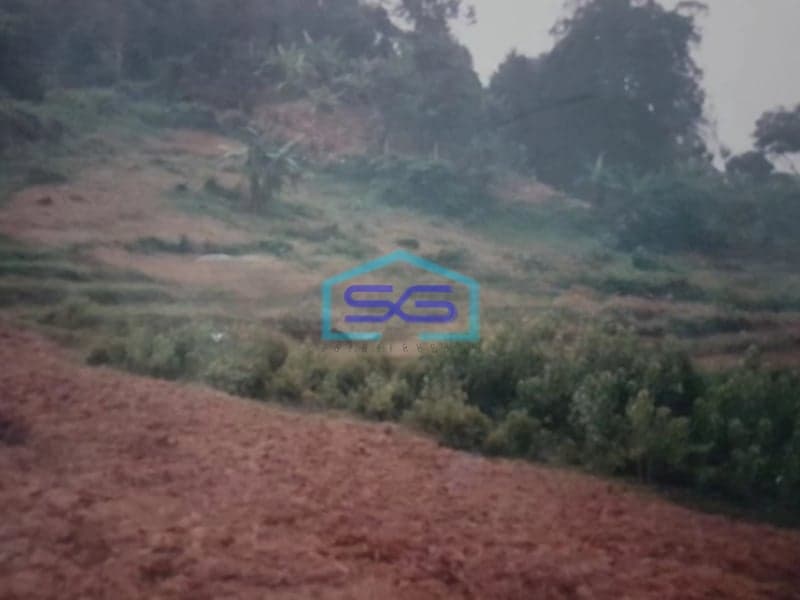 Dijual Tanah Kavling Lokasi Strategis Siap Bangun 1,2 Hektar di Desa Mekarwangi Cariu Bogor Timur