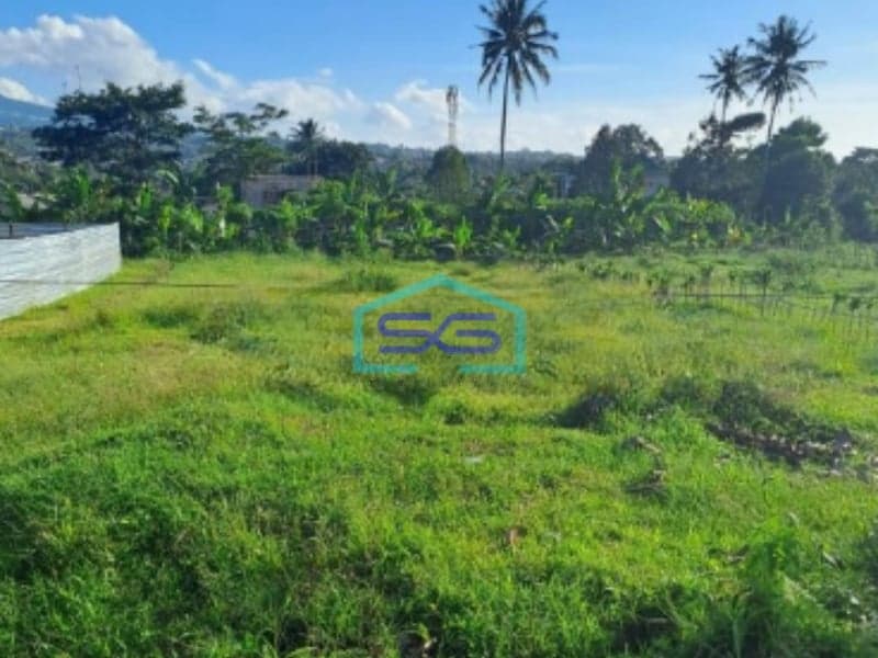 Dijual Tanah Desa Cipayung Megamendung Bogor Jawa Barat Cocok Untuk Usaha
