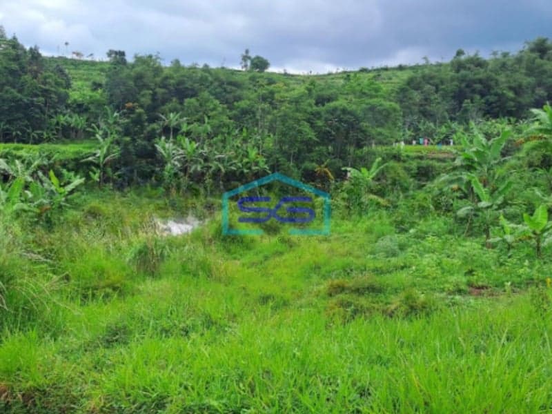 Dijual Tanah Darat Lokasi di Cigombong Bogor Luas Tanah 4 Hektar