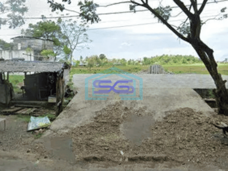 Dijual Tanah Macanang Kec Tanete, Kab Bone Sulawesi Selatan