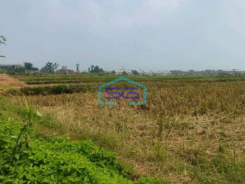 Dijual Tanah Lokasi Mojosari Mojokerto Jawa Timur Harga Nego Luas 20000m2