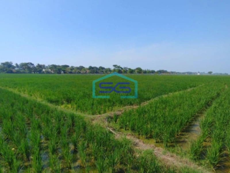 Dijual Tanah Lokasi Strategis di Tirtajaya karawang Luas 5 Ha