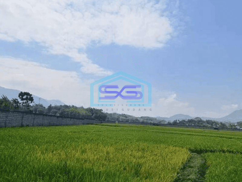 Disewa Tanah Strategis Area Industri Majalaya Bandung