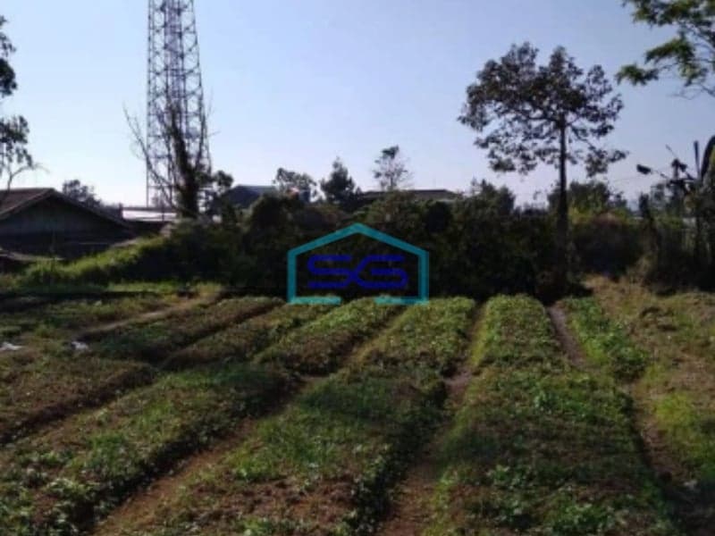 Dijual Tanah Letak Strategis di Pacet Cianjur Luas Tanah 4996m2