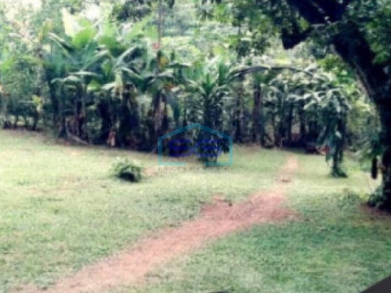 Dijual Tanah Kavling Strategis Siap Bangun di Depok Jawa Barat Luas Tanah 6650m2