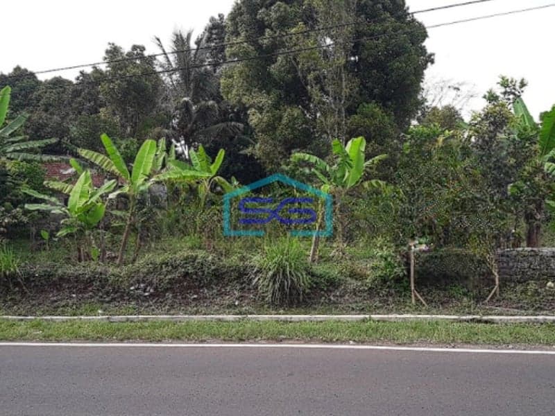 Dijual Tanah Murah di Desa Ciseutik Dekat Tugu Cagak Subang LT 3110m2
