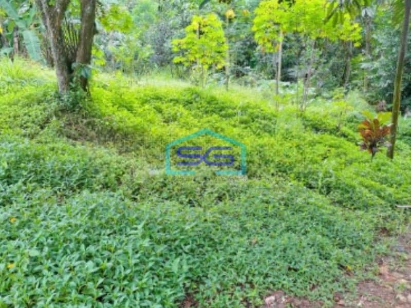 Dijual Tanah Di Ciseeng Bogor Luas Tanah 10000m2  Cocok Untuk Investasi