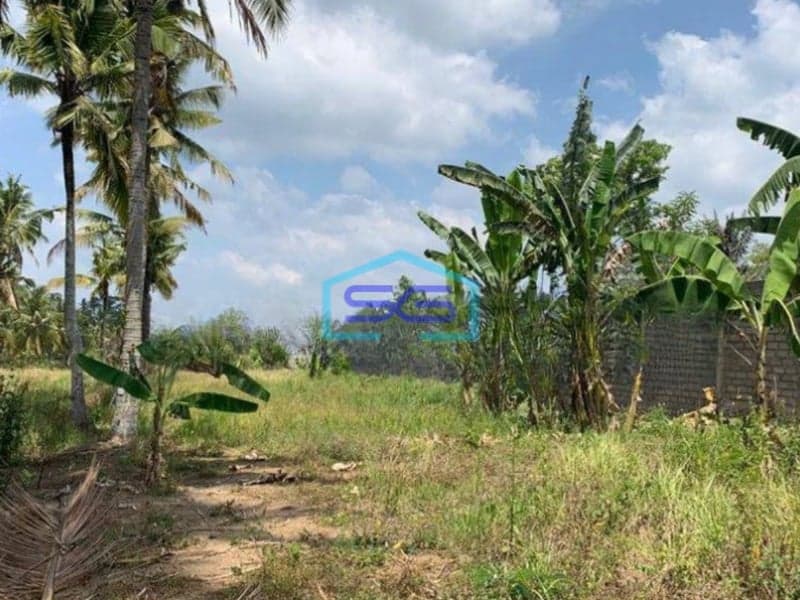 Dijual Tanah di Ubud Gianyar Luas Tanah 35000 m²