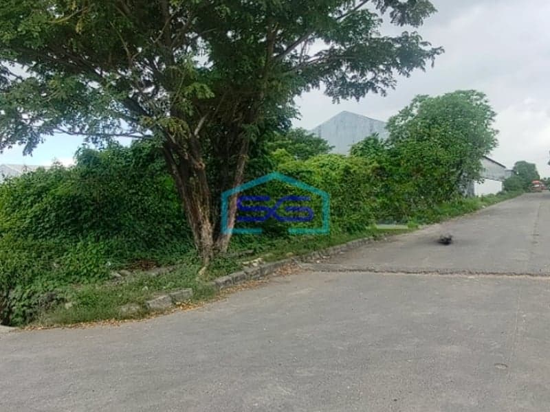 Disewakan Tanah Di Pattene Maros 10000M² Makassar SHM - Sertifikat Hak Milik