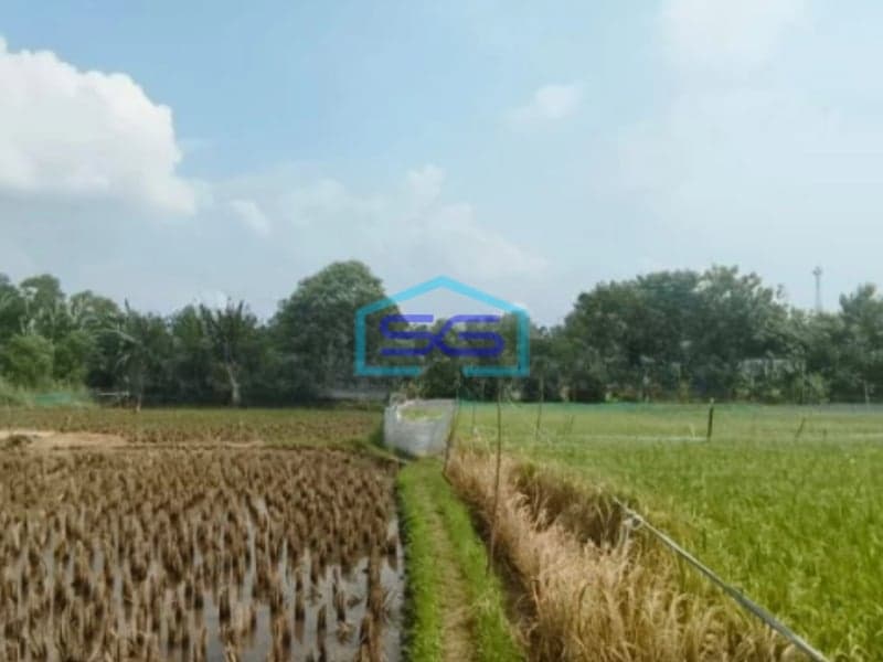 Dijual Tanah SHM murah seluas 14.000m2 di Suka Danau Bekasi Luas Tanah  14000 m²