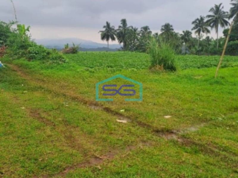 Dijual Tanah di Ci Bening Pamijahan Bogor Luas Tanah 72000m2