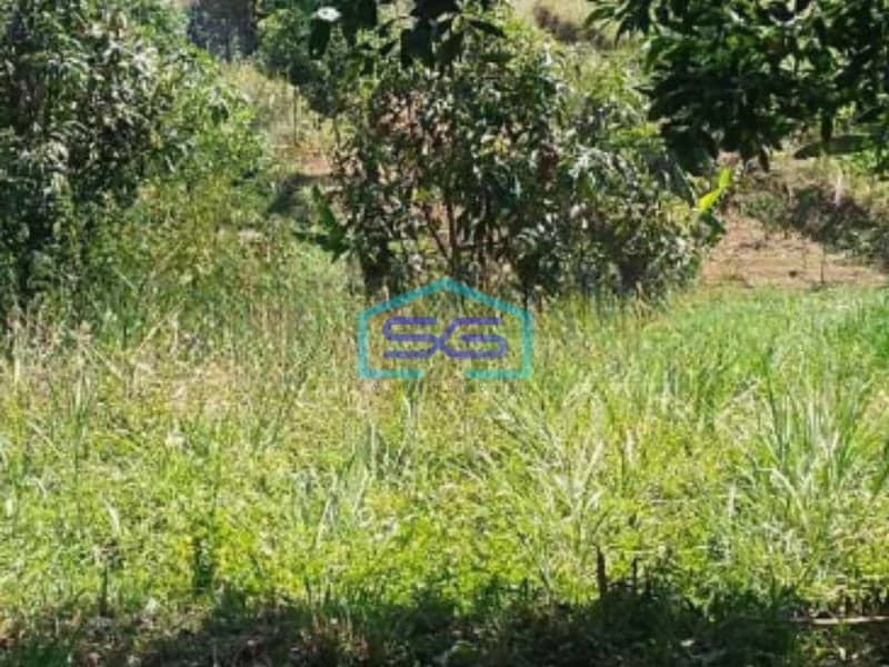 Dijual Tanah Lokasi di Cilengkrang Cileunyi Bandung Luas Tanah 2045m2