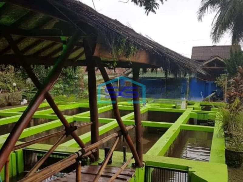 Dijual Tanah Villa Dan Kolam Pemancingan di Cijambe Subang Luas Tanah  3129 m²