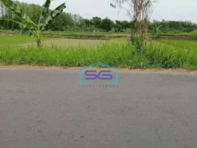 Dijual Tanah industri Lokasi Pedan Klaten Luas 8000m2