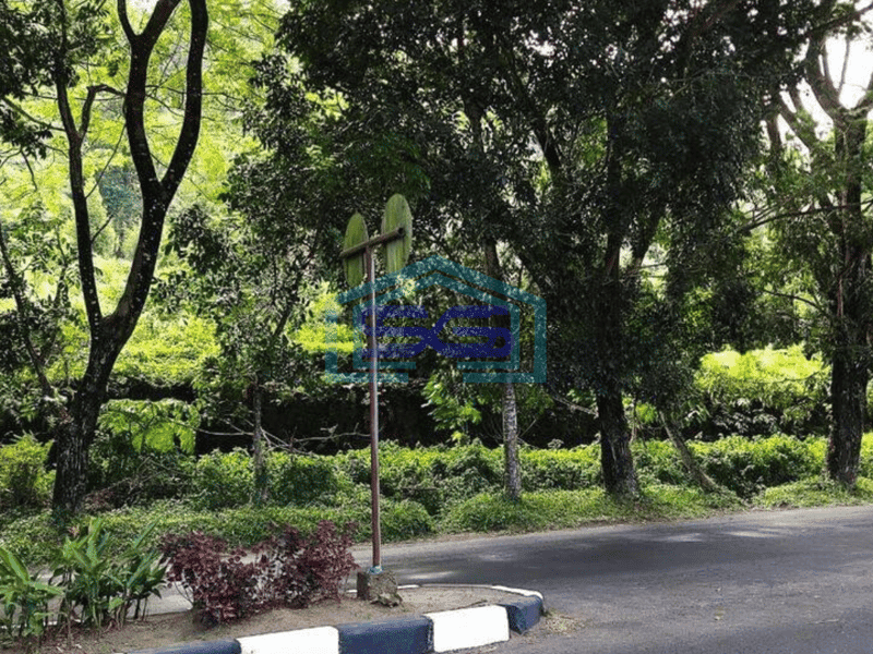 Dijual Tanah 1,7h di Minahasa Utara Cocok buat Gudang dan Ekspedisi