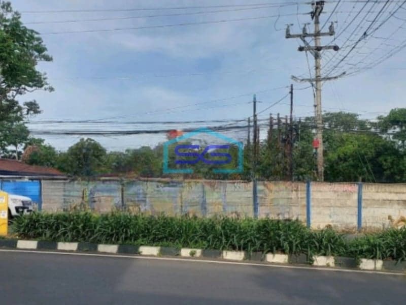 Disewakan Tanah Luas 2000 m² Lokasi Bebas Banjir di Ngaliyan Semarang