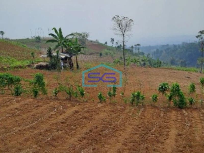 Dijual Tanah Siap Bangun Di Pancawati Caringin Bogor Luas Tanah 2000m2