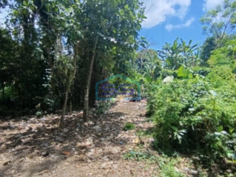 Dijual Tanah Kavling di Ubud Gianyar Bali Luas Tanah 10000m2