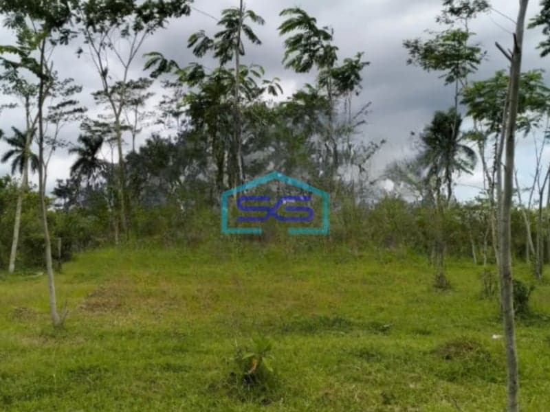 Dijual Tanah Luas 7320 m² Lokasi Bebas Banjir di Pakisaji Malang