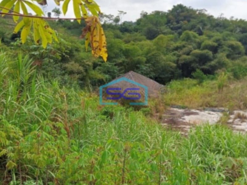 Dijual Tanah Strategis di Cibadak Sukabumi Luas Tanah 120000m2