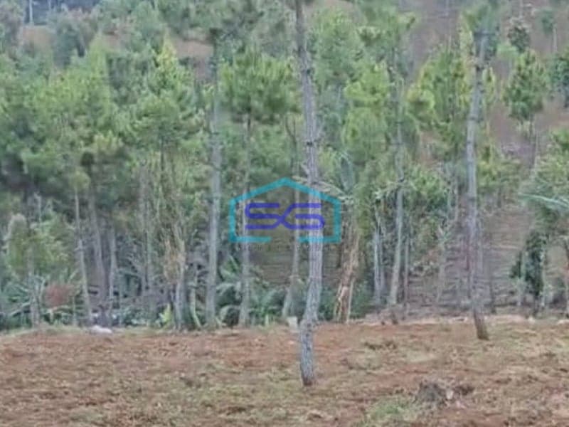 Dijual Tanah di Cimenyan Bandung Luas Tanah 16 Ha