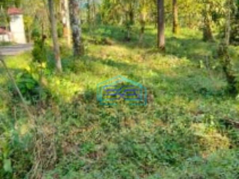 Dijual Tanah Di Purbalingga Jawa Tengah Luas Tanah  4420 m²