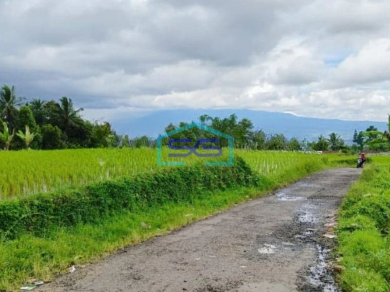 Dijual Tanah di Daerah Cidahu Sukabumi Luas 7000m2