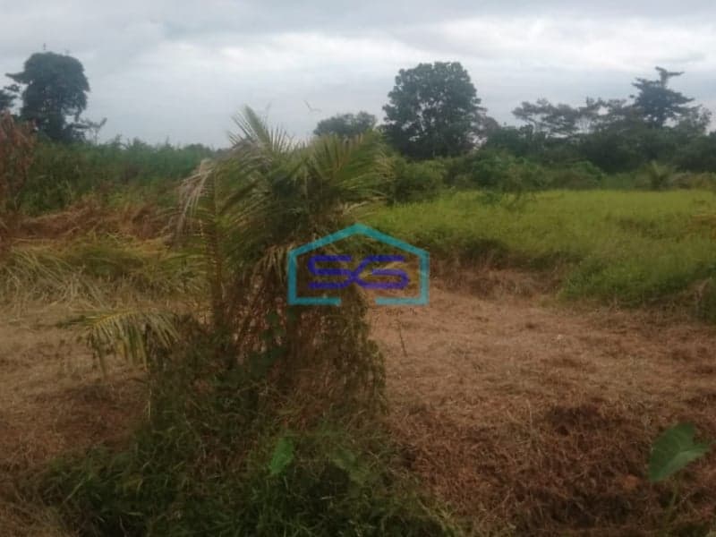 Dijual Lahan Talang Keramat Banyuasin Sumatera Selatan Luas Tanah 60000m2